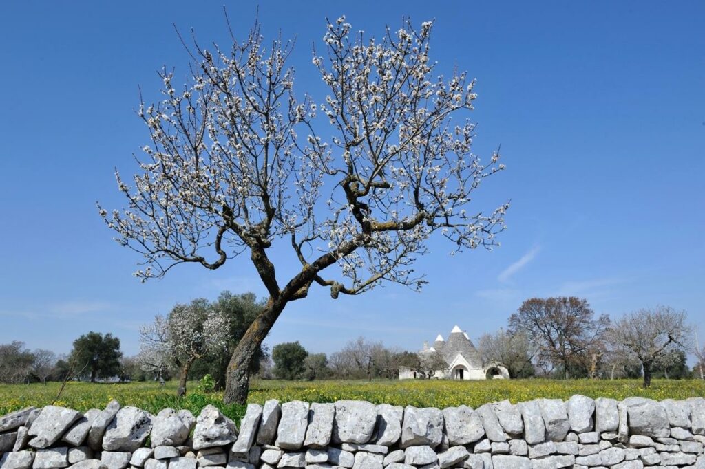 trulli nelle campagne di castellana grotte